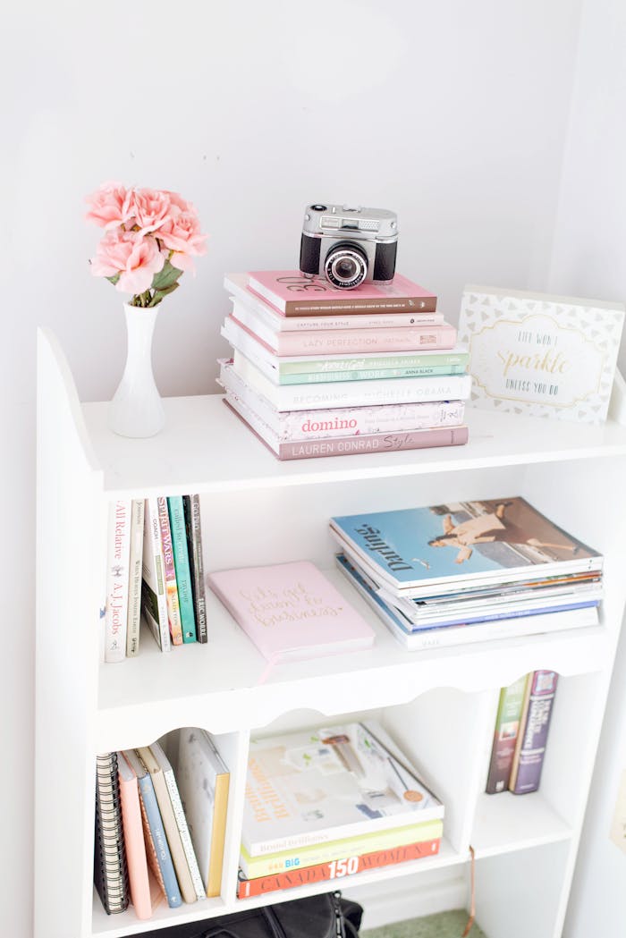 Mastering the First Impression: Your intriguing post title goes here White bookshelf adorned with books, a vintage camera, and pink flowers for a chic decor look.